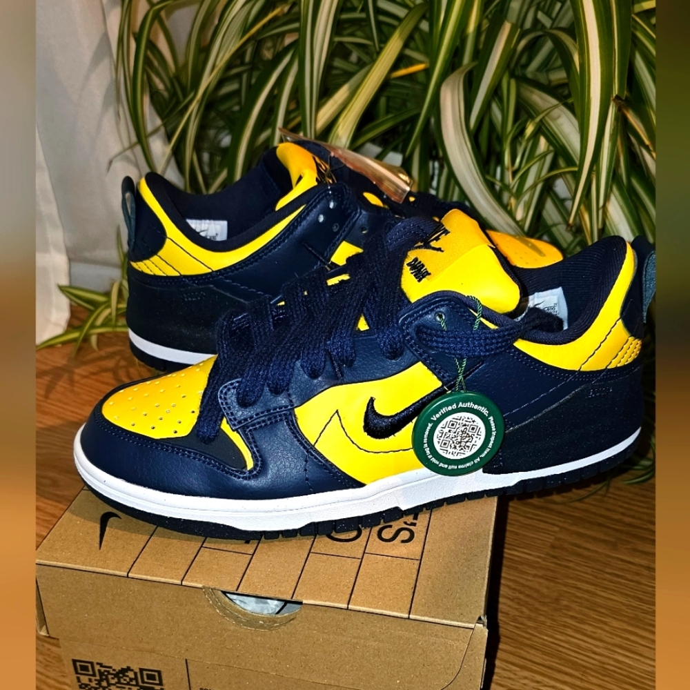 Womens Nike low Disrupt 2 Dunks